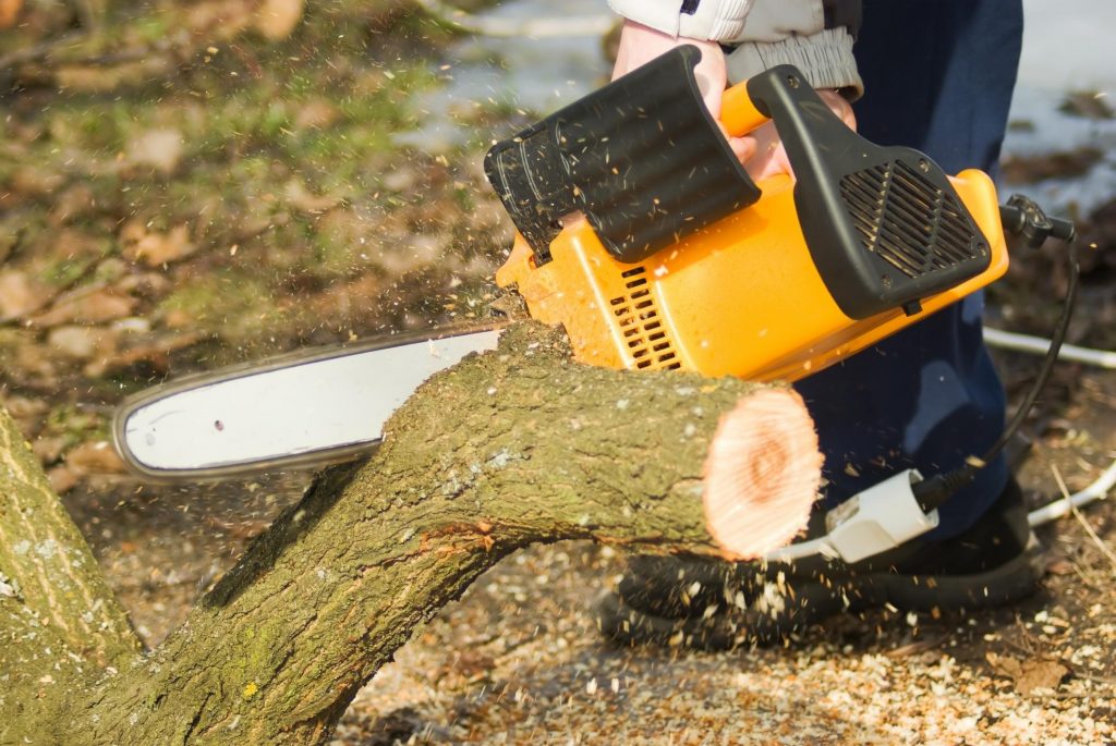 tree removal services